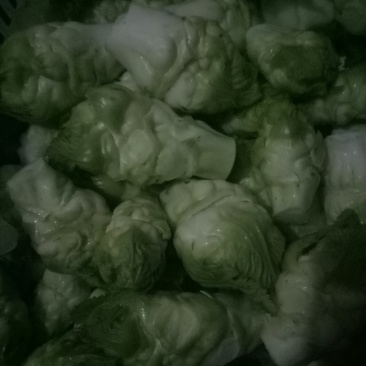 儿菜待嫁！