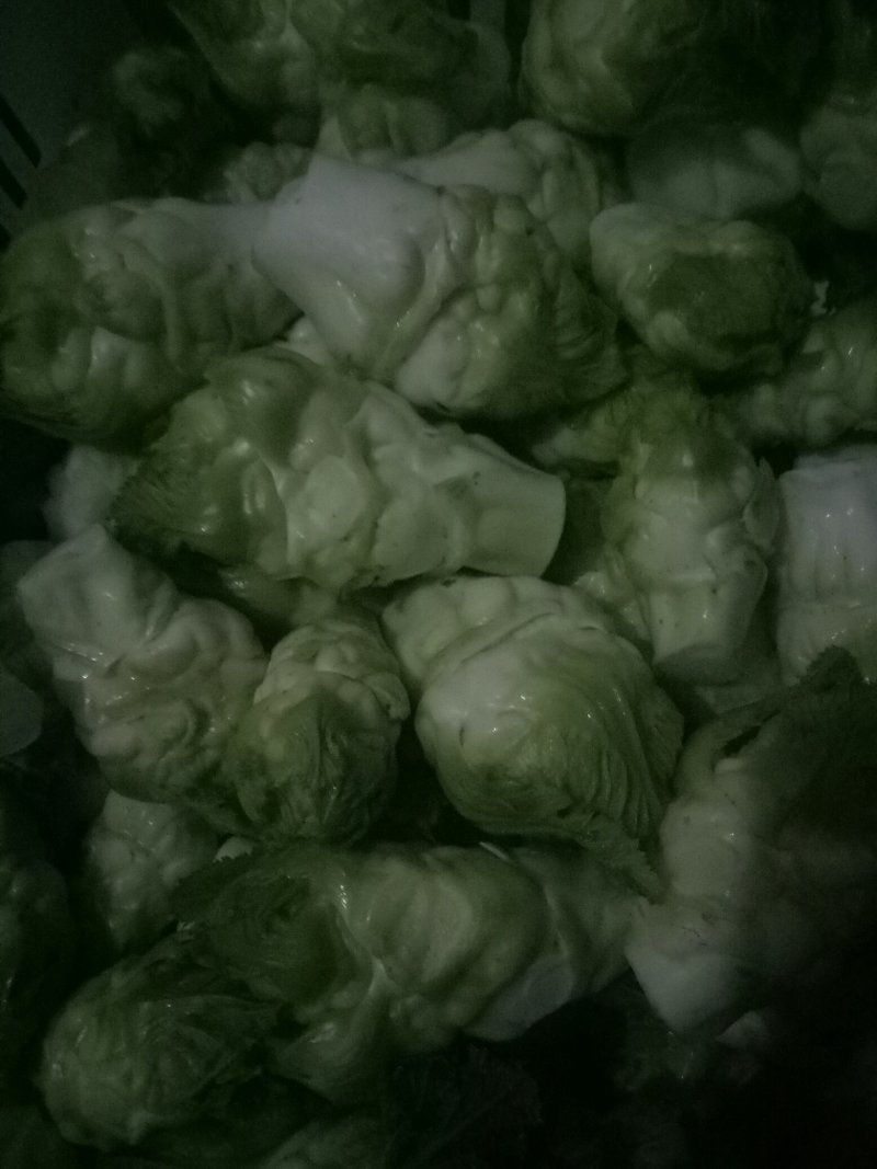 儿菜待嫁！