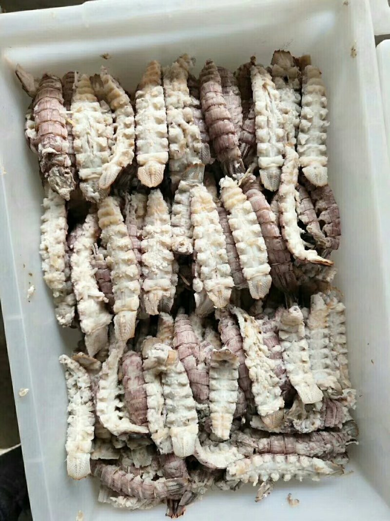 皮皮虾肉