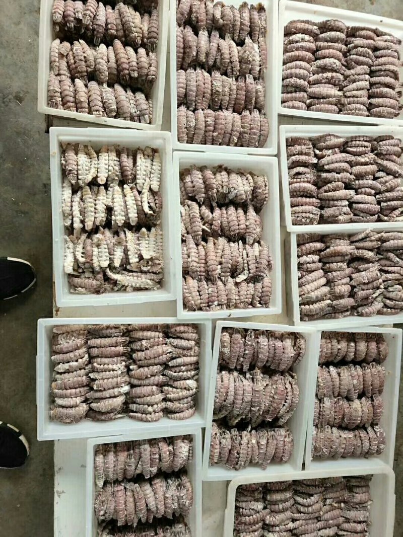 皮皮虾肉