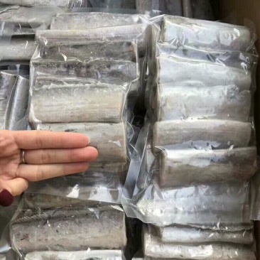 带鱼刀鱼段