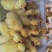 大品种鹅苗长期供应诚信经营保证质量到期回收【年底大促】