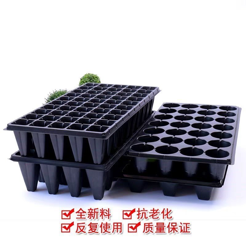 21/32/28/50孔育苗盘穴盘/加深/林木育苗/树苗