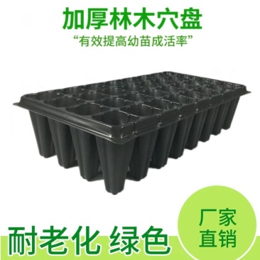21/32/28/50孔育苗盘穴盘/加深/林木育苗/树苗