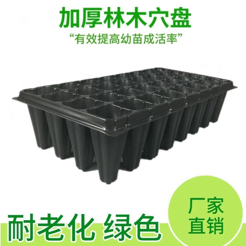 21/32/28/50孔育苗盘穴盘/加深/林木育苗/树苗