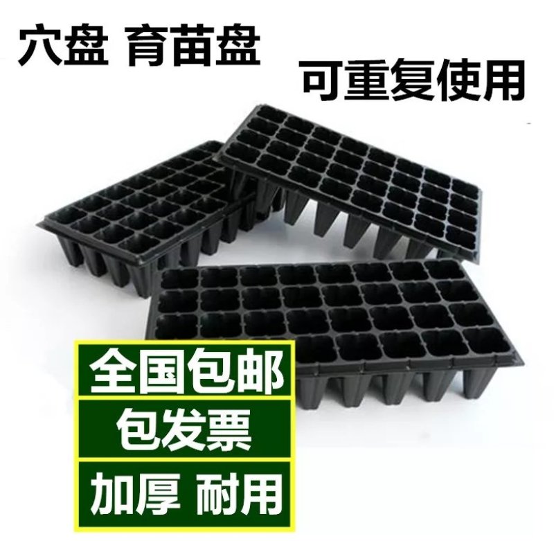 21/32/28/50孔育苗盘穴盘/加深/林木育苗/树苗