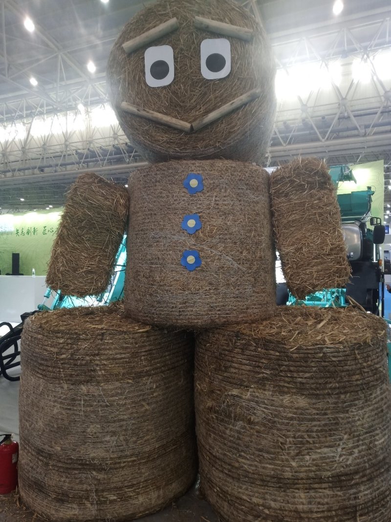 大量长期提供稻壳，全株玉米青储，干稻草。