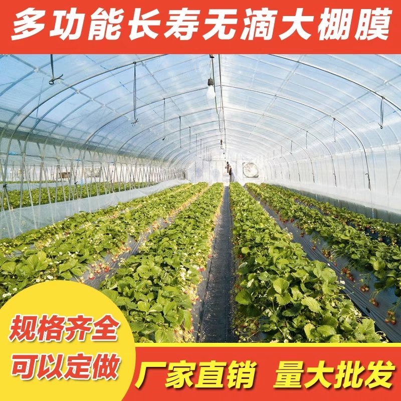 大棚膜塑料膜加厚薄膜抗老化塑料纸透明防雨布装修防尘布封窗