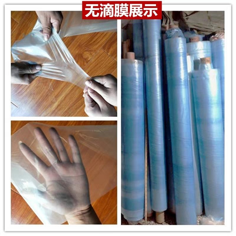 大棚膜塑料膜加厚薄膜抗老化塑料纸透明防雨布装修防尘布封窗