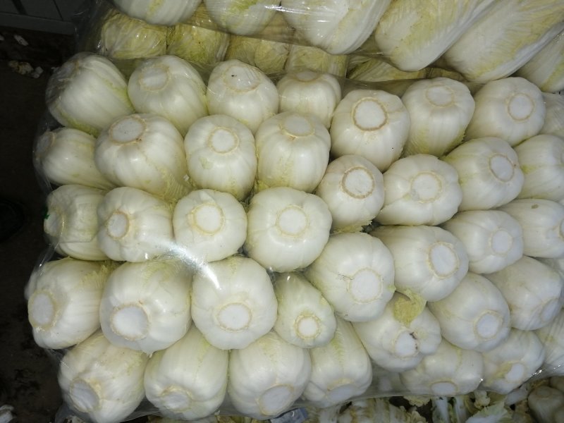 包菜娃娃菜