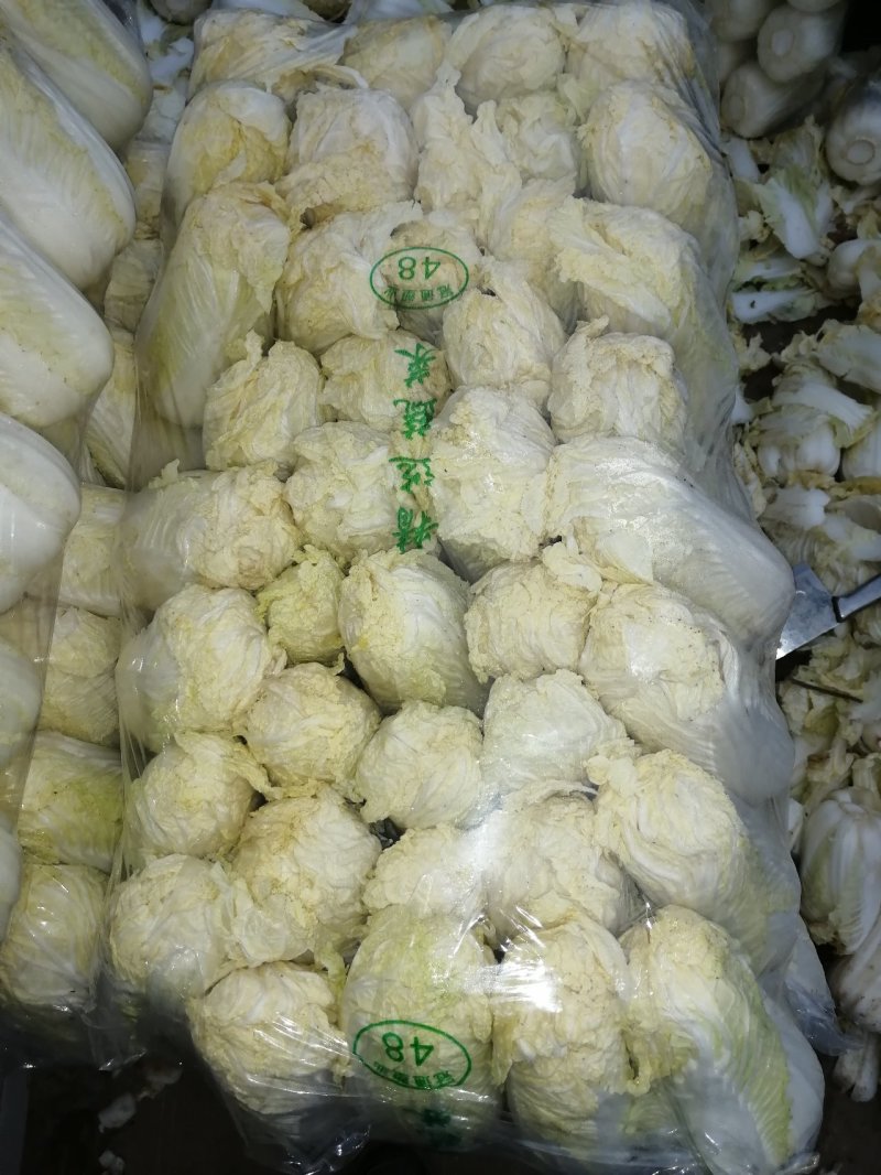 包菜娃娃菜
