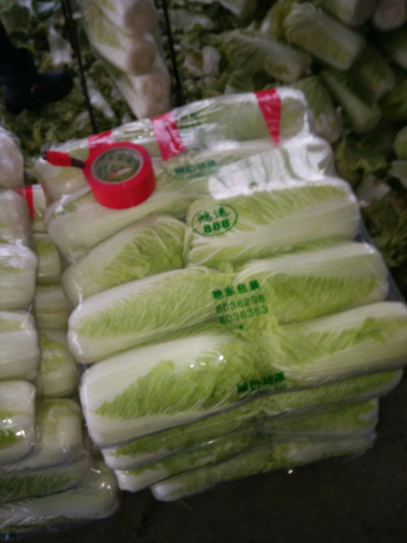 北京三号大白菜大量供应