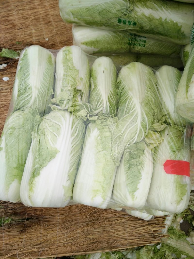 北京三号大白菜大量供应