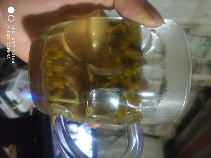 贵州毕节中药材野菊花颗粒产地直发