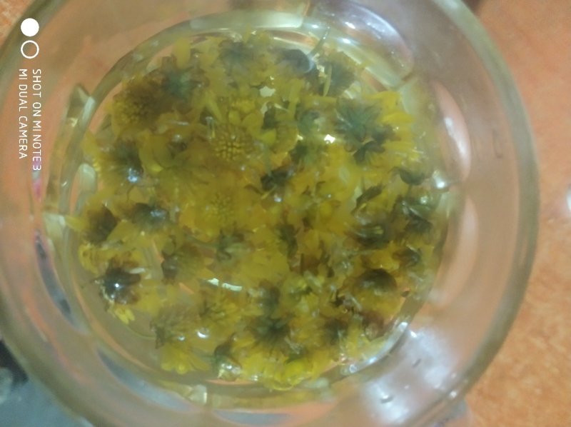 贵州毕节中药材野菊花颗粒产地直发