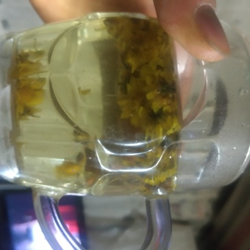 贵州毕节中药材野菊花颗粒产地直发
