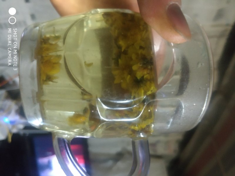 贵州毕节中药材野菊花颗粒产地直发
