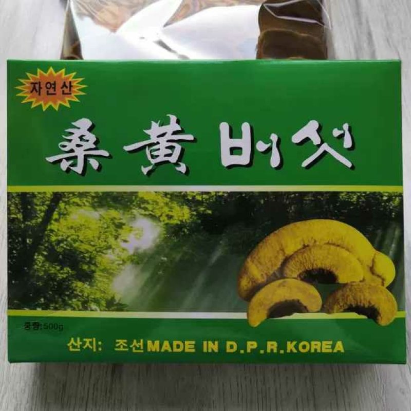 【包邮】桑黄北朝鲜野生特级桑黄灵芝桑树桑黄