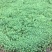 小兔子狼尾草小布尼狼尾草