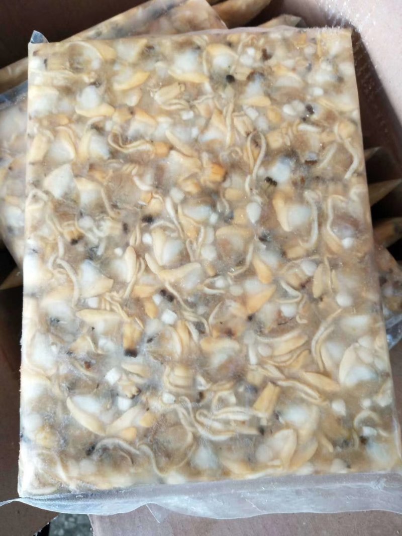 沙蚬子肉