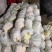 精品实花菜，散花菜，基地直供，提供各种包装，诚信代办！
