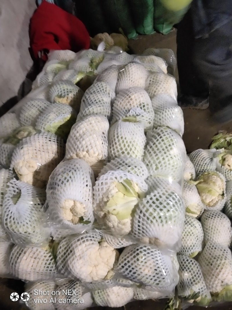 精品实花菜，散花菜，基地直供，提供各种包装，诚信代办！