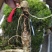 长白山林下觅货