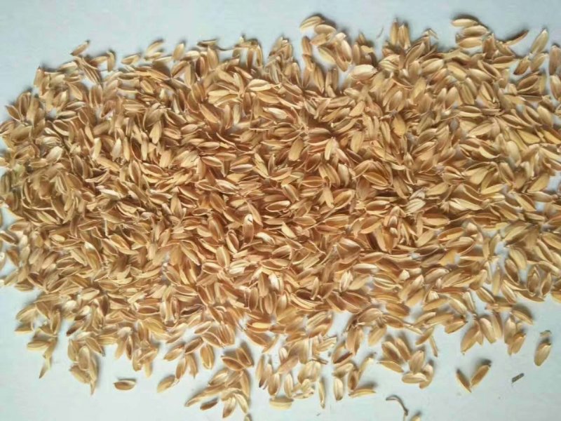 厂家直销压缩稻壳压块稻壳稻壳粉统糠米糠