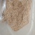 厂家直销稻壳粉筛糠饲料添加剂统糠灰糠