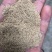 厂家供应灰糠统糠稻壳粉筛糠饲料添加压缩稻壳