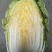 黄心白菜，产地直销，保证质量，净菜4一6斤。
