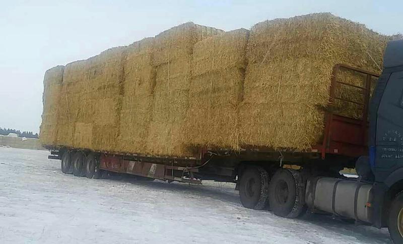 大量供应小麦秸秆