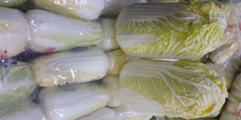 精品小娃娃菜、品质保证