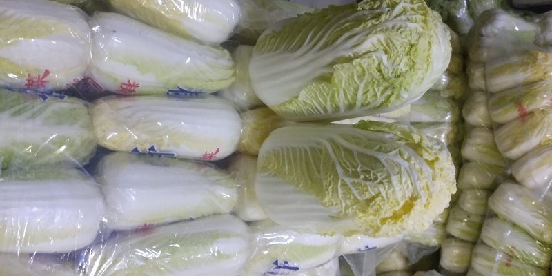 精品小娃娃菜、品质保证