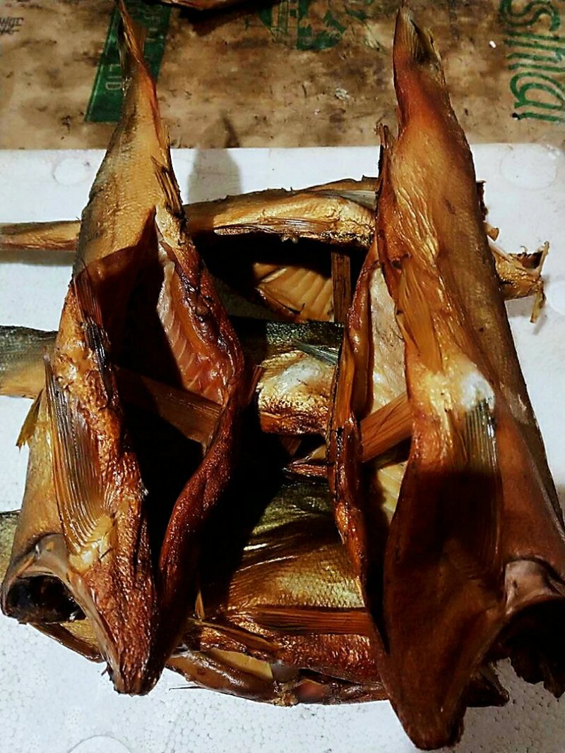 火培鱼