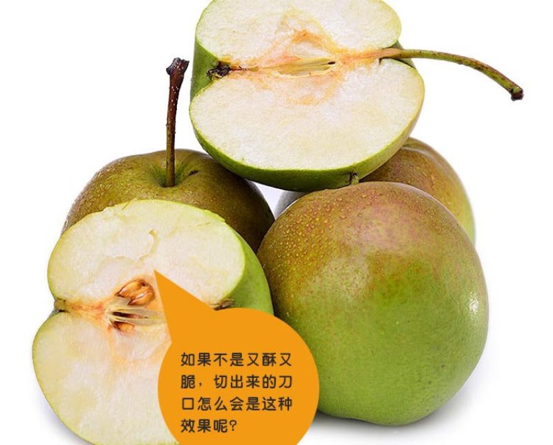 玉露香纸箱200~250g