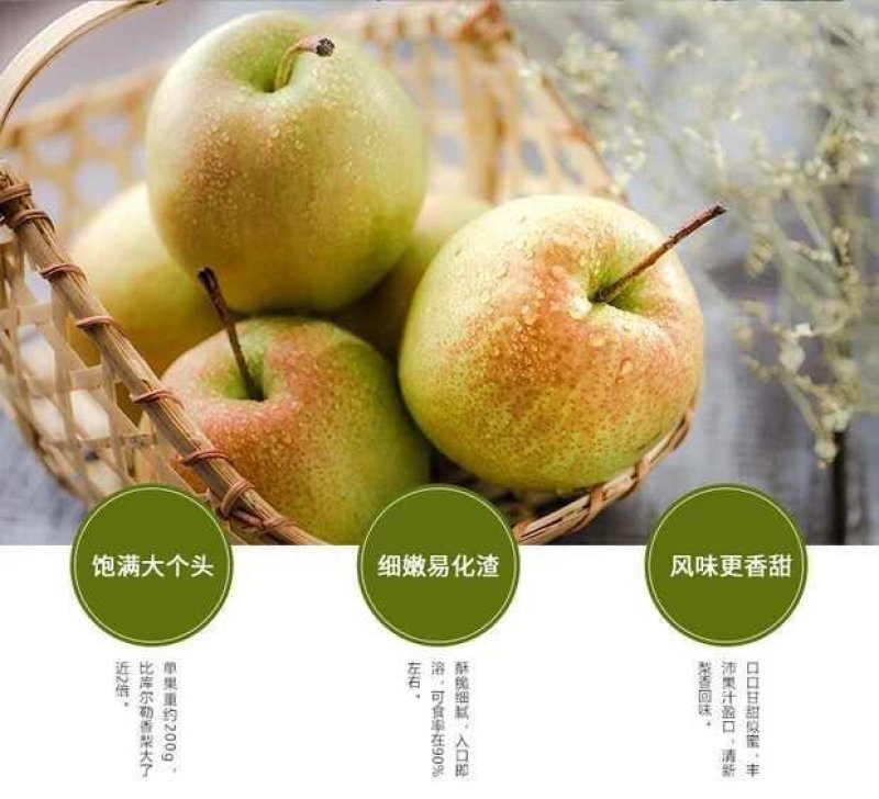玉露香纸箱200~250g