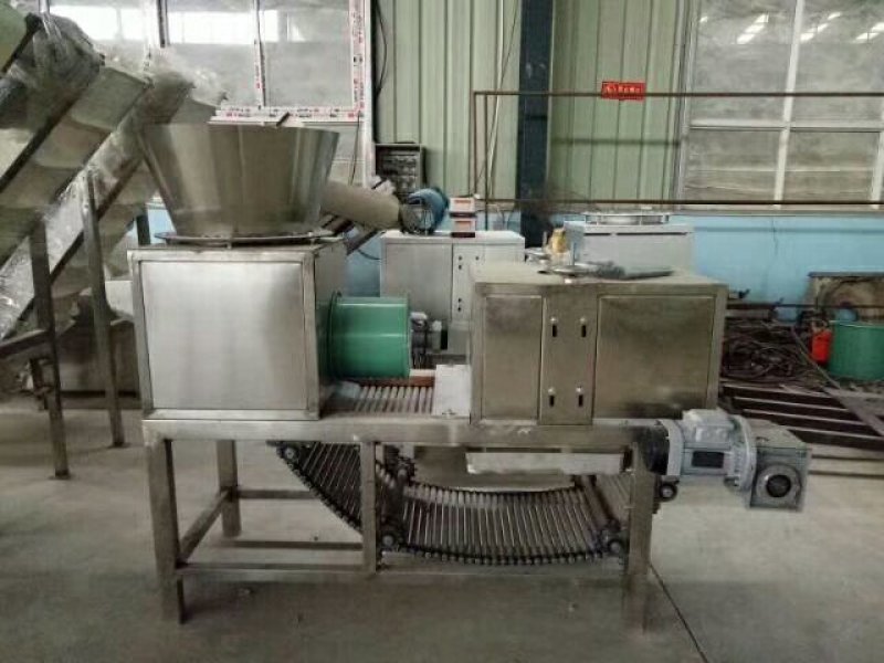 专业蒜米加工设备200公斤每小时