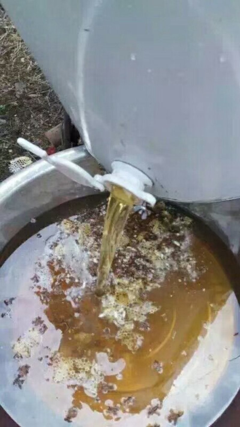 蜂蜜