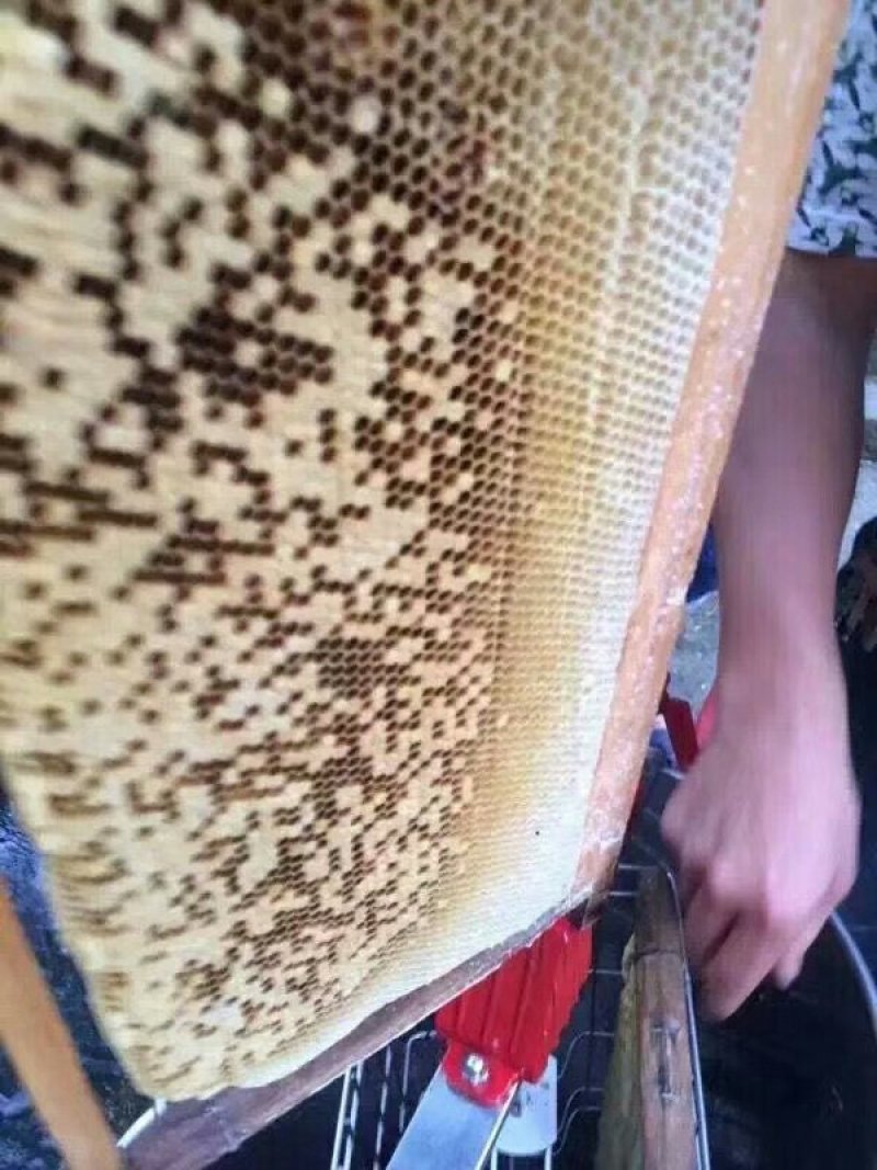 蜂蜜