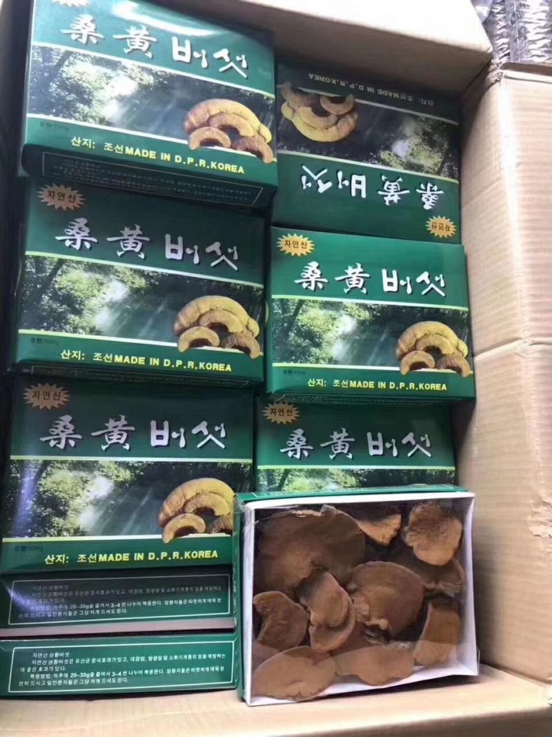 特别推荐，朝鲜桑黄，一盒一斤，一斤起包邮，量大价优
