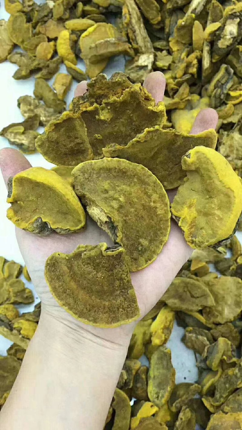 特别推荐，朝鲜桑黄，一盒一斤，一斤起包邮，量大价优