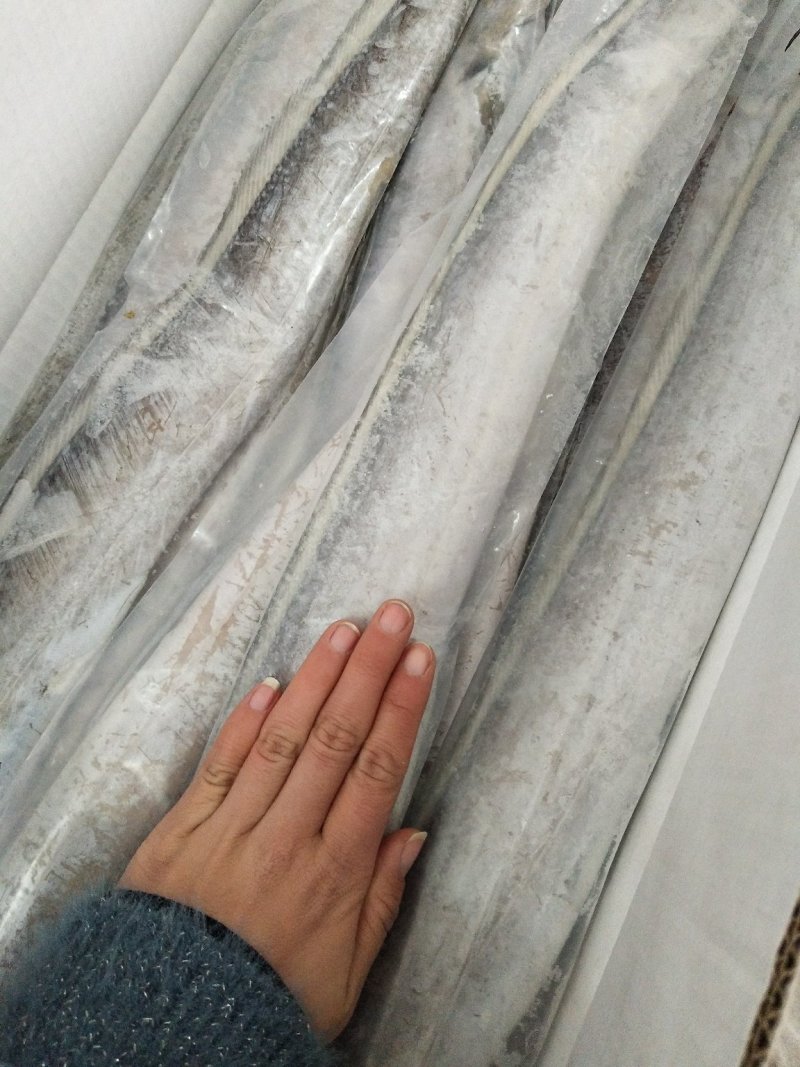 带鱼大小规格都有哦