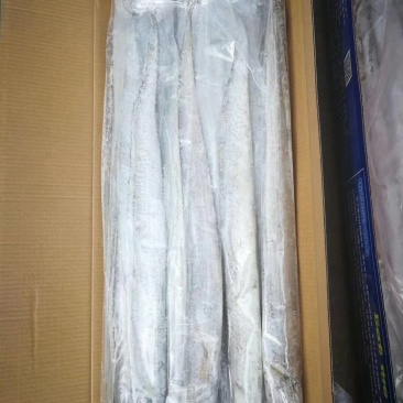 带鱼大小规格都有哦