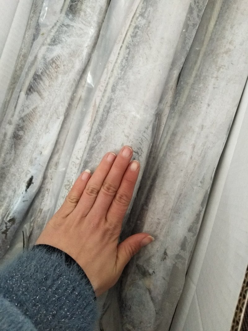 带鱼大小规格都有哦