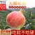 荥阳突尼斯软籽石榴/微商电商5斤礼盒一件代发直播带货包邮