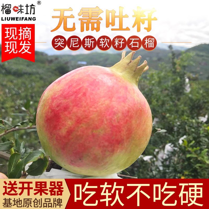 荥阳突尼斯软籽石榴/微商电商5斤礼盒一件代发直播带货包邮