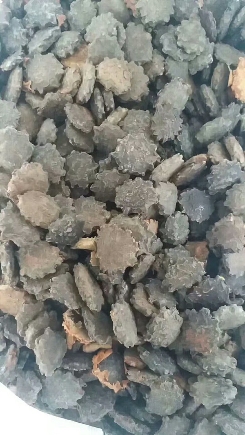 木鳖子
