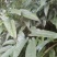 其它