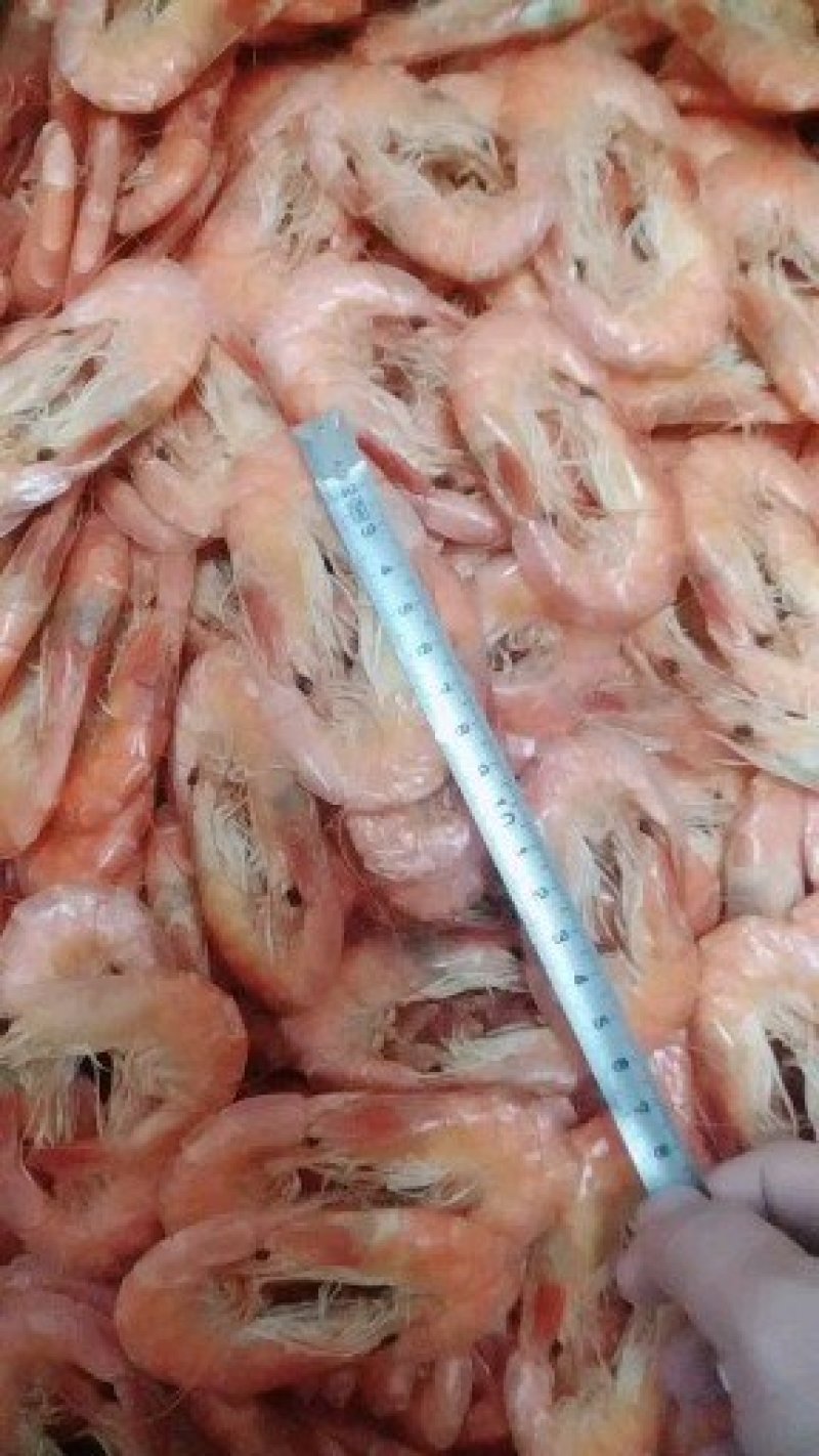 渤海烤虾虾干